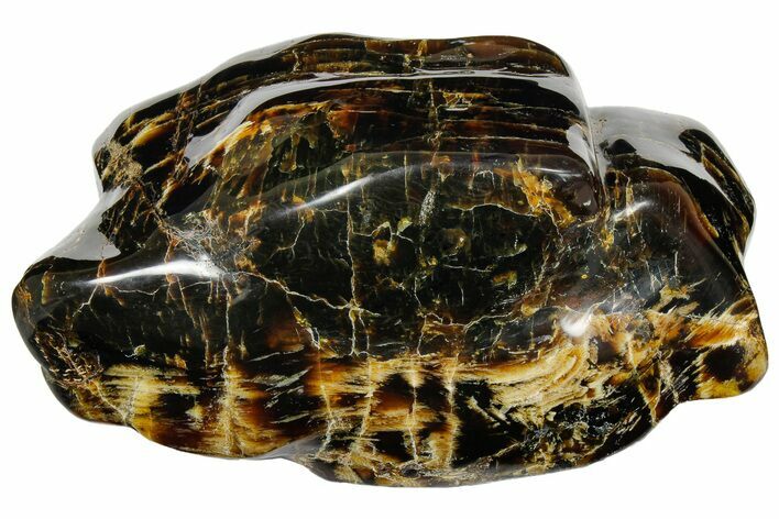 Wide Piece Of Polished Indonesian Amber - Massive! #176134